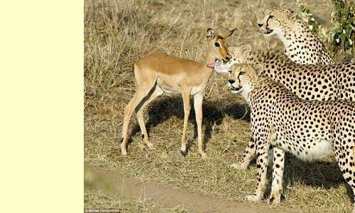 when you aren't hungry