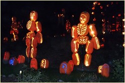 Pumpkin Graveyard - small