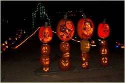 Wizard Of Oz Pumpkin thumbnail