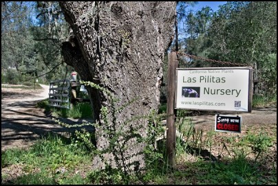 Las Pilitas Nursery