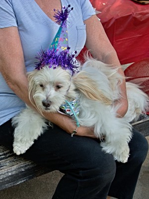 Patty holding KiKi at his birthday party