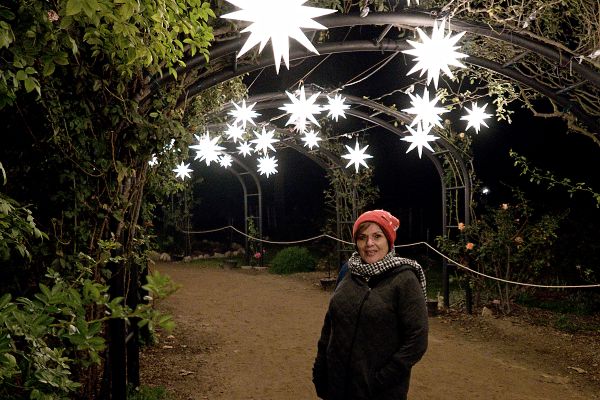 Patty on a Star-lit path