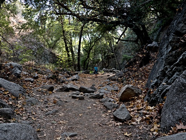 Trail lto Monrovia Falls