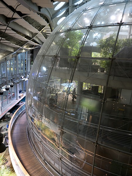Osher Rainforest Exhibit