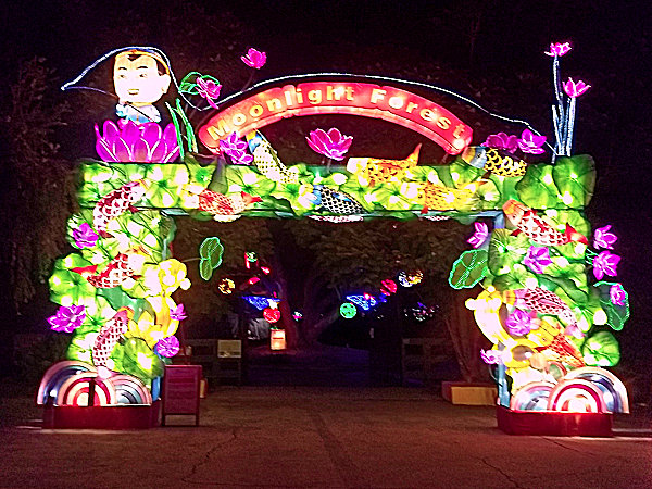 Entrance to Moonlight Forest