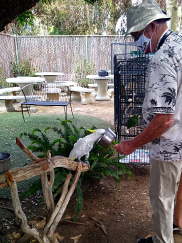 Craig feeding parrot
