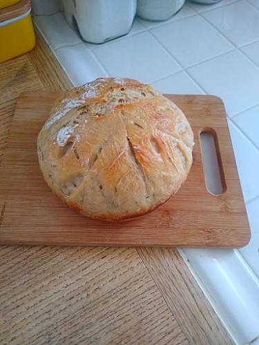 Home baked sourdough bread