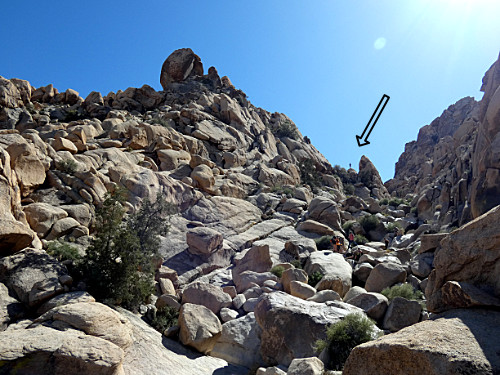 grandpa looking up at CJ