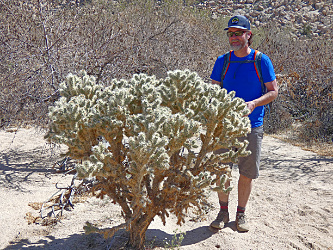 CJ with desert wildlife