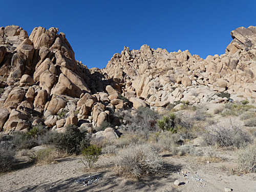 the small mountain behind our camp