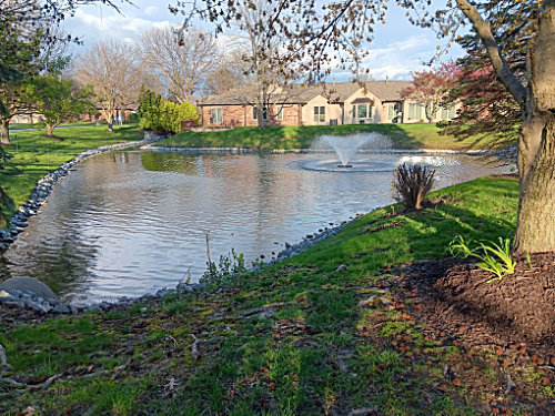 Another view of Ellen's pond
