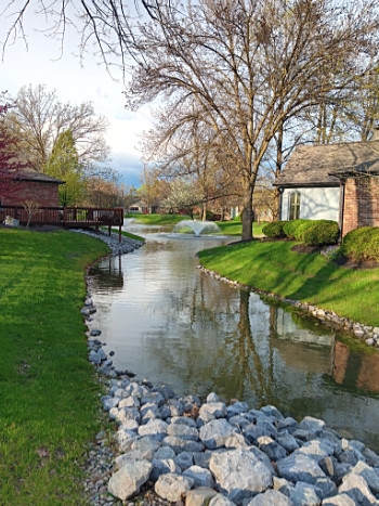 Creek leading into one of the ponds