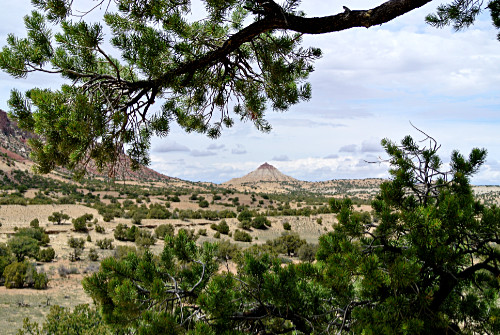 Scene on Ran Raphael Uplift