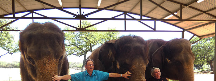Craig & Patty with elephants