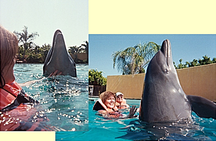 Patty and the dolphin