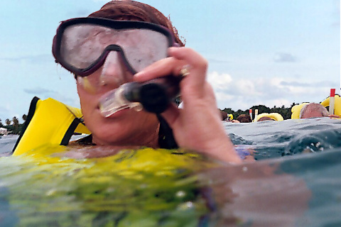 Patty snorkling in Barbados