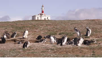 To each his own church - lighthouse