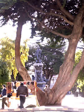 Punta Arenas city center park