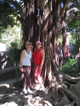 Julie and Patty in Banyon Tree roots