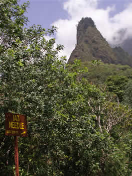 IAO Needle