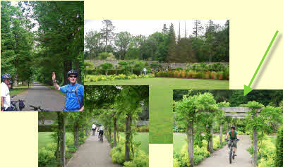 Patty & Danielle on bicycles