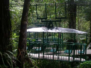 Dominica rainforest trolly