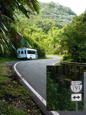 PR191 into rainforest