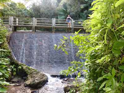 Patty hiking over waterfall in rainforest