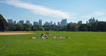 Central Park Great Lawn