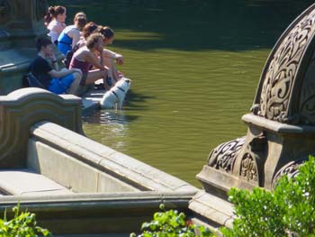 Dog day afternoon in Central Park