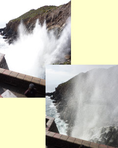 blowhole series