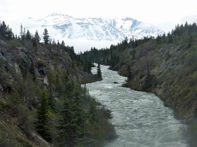 view from suspension bridge