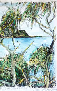 Hanalei Bay from Princeville cliffs