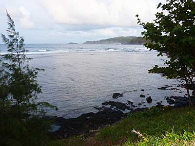 Kilauea Point & Island view from the west