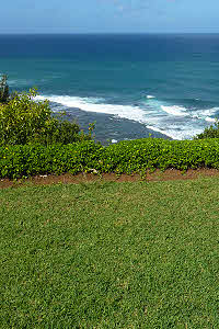 Tai Chi in the morning