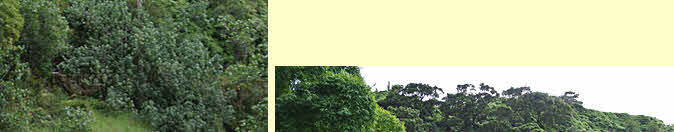 A look back at our journey 1