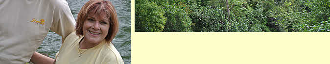 A look back at our journey 3