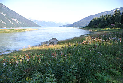 evening view from Haines