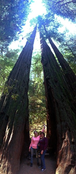 Kelly & Patty in a redwood