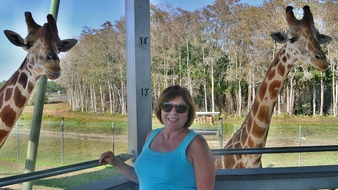 Patty with young giraffes