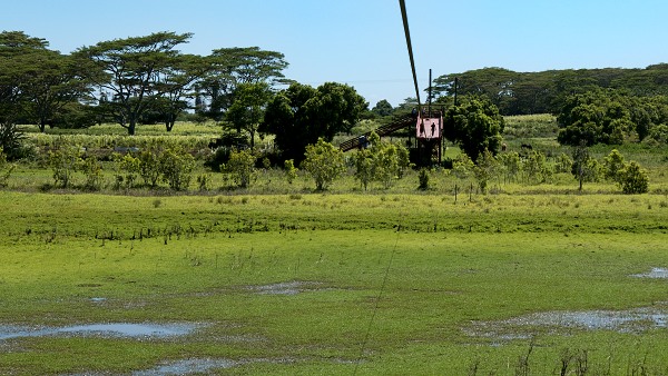 Flying into the last zipline landing