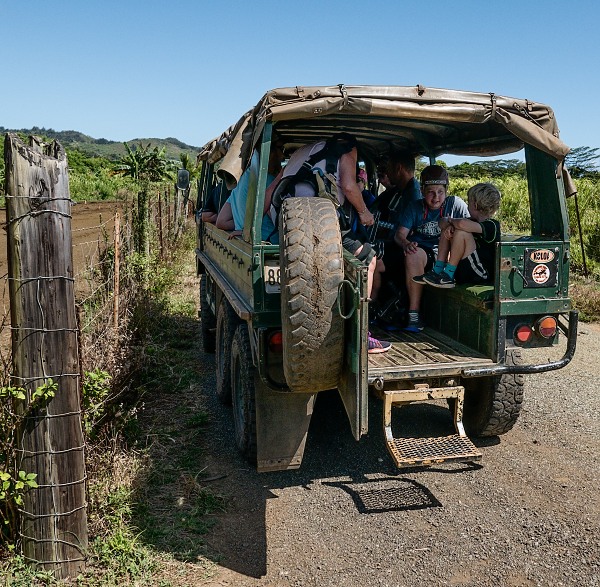 trucking back to the Sugar Mill
