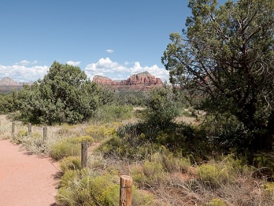 view climbing the Bell Rock trail
