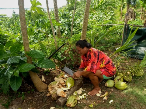 cutting coconuts