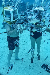Craig & Patty feeding the fish