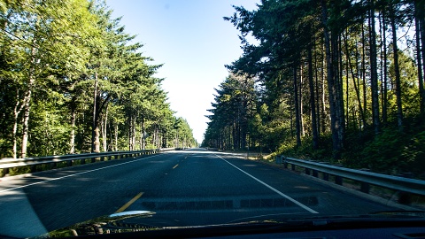 Driving north in Oregon