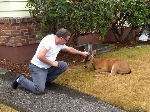Craig carefully petting dear in Astoria, OR