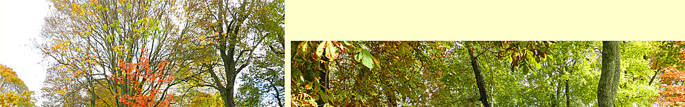 Patty at Loyalist Burial Grounds