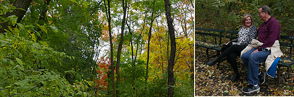 sitting in Central Park