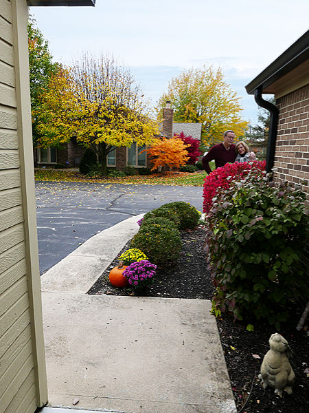 Autumn colors at Ellen's house